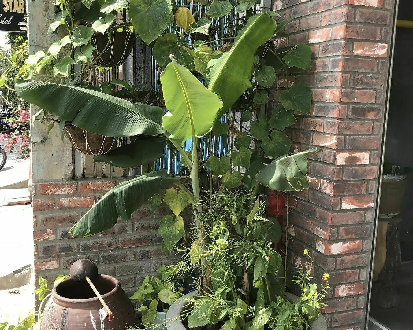 오리고 호텔 다낭 2*,